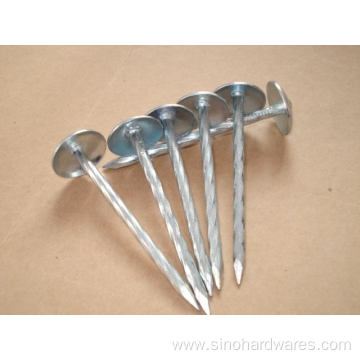 umbrella head smooth shank roofing nails